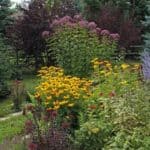 Getting Started With Native Plant Gardening