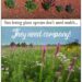 Mulch tips for full-sun plants
